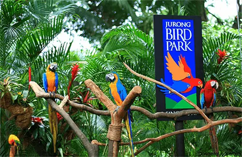 Bali Bird Park Location & Reviews